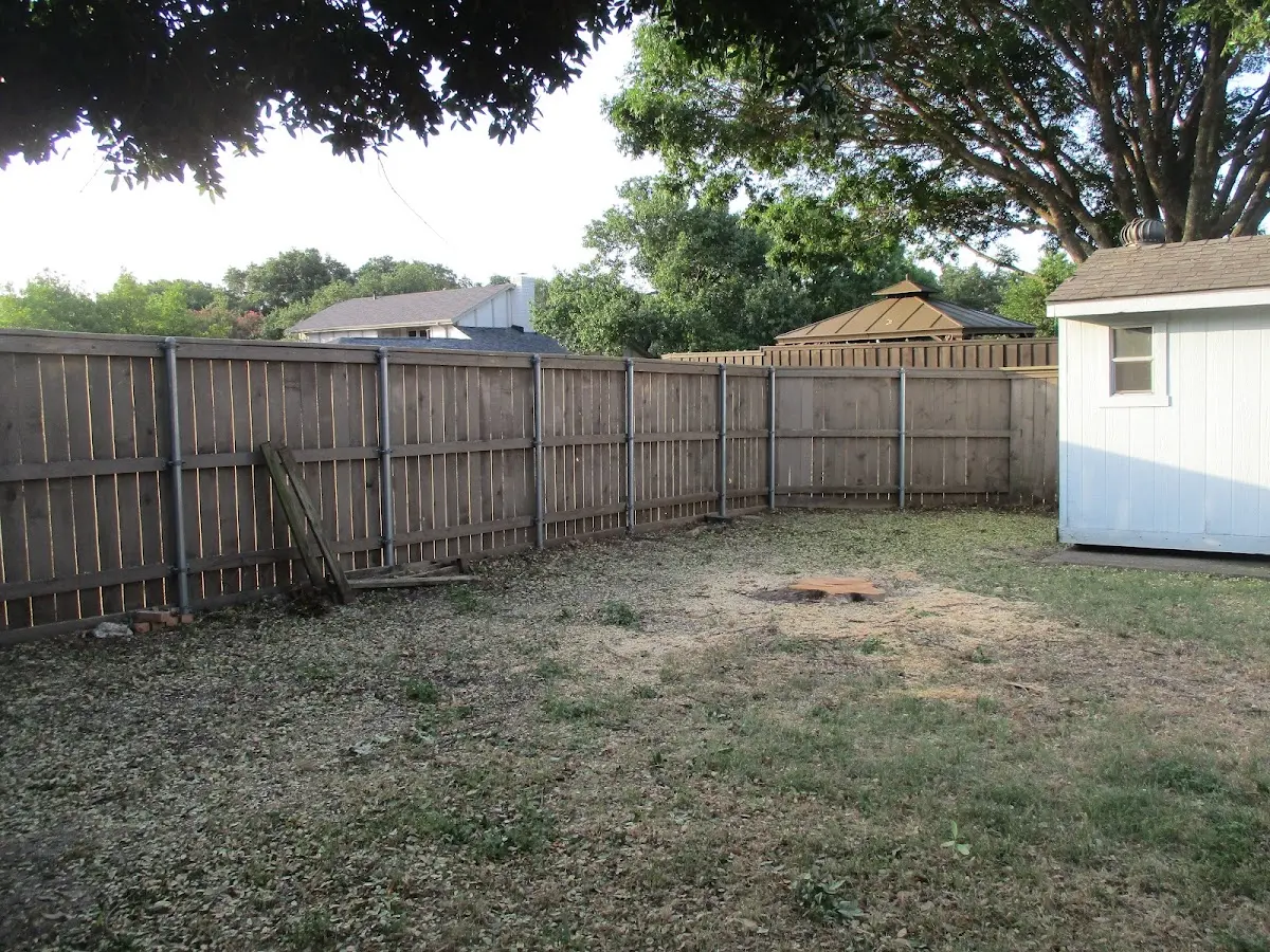 Cleared yard after professional tree removal in Lometa